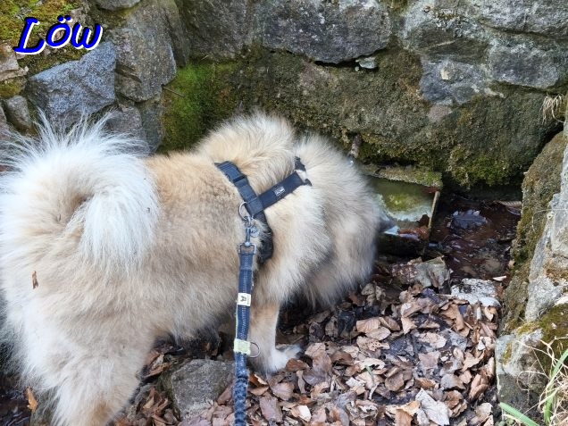 5.3.2026 - Quellwasser